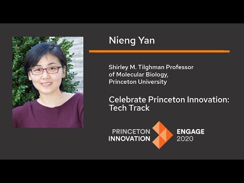 Nieng Yan: A platform that sharpens images of proteins under the microscope