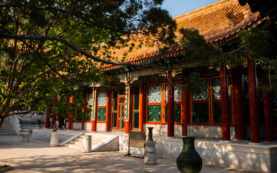 Vidéo : Best of des activités 2022-2023